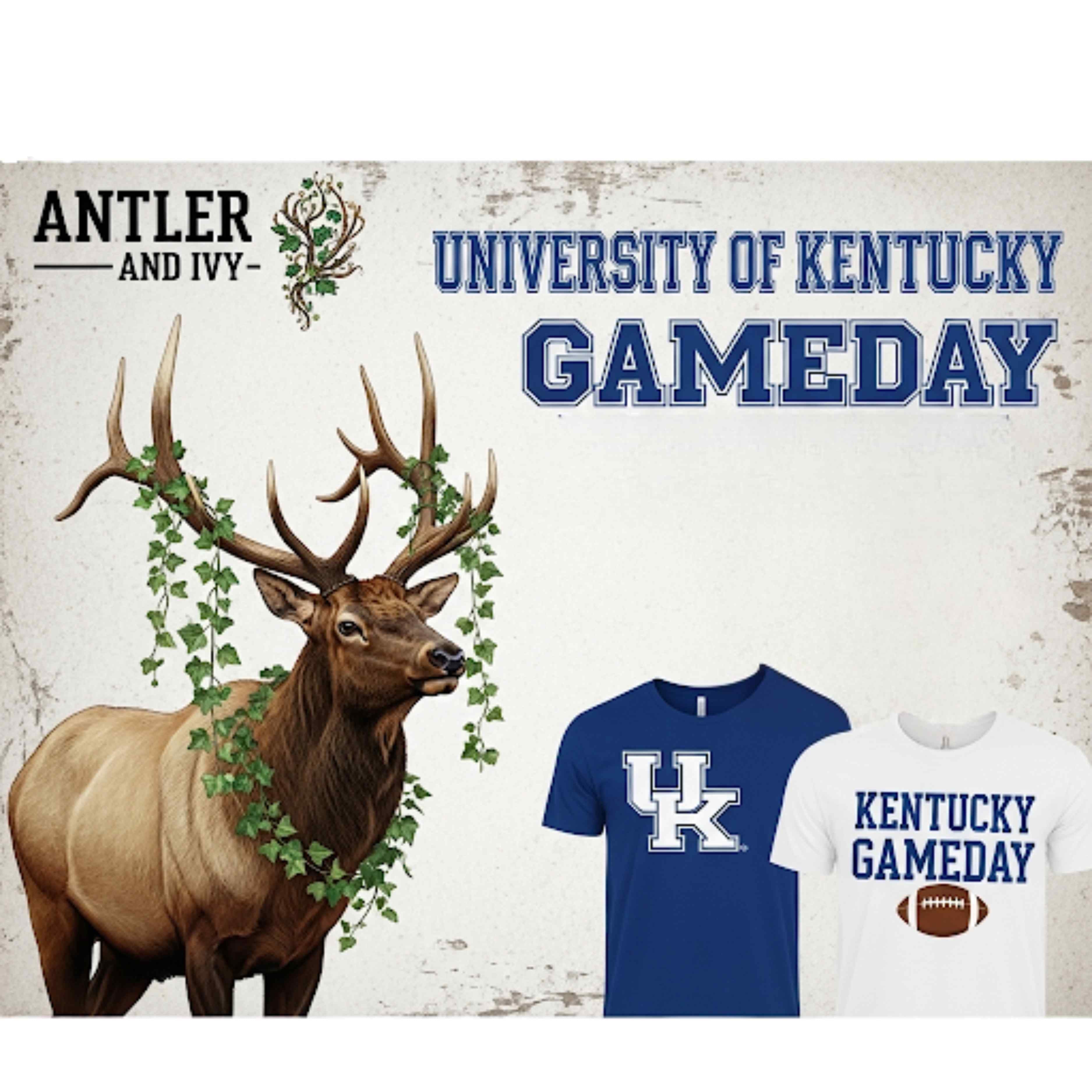 Kentucky Wildcats Game Day Shirts | Vintage UK Tees by Antler & Ivy.